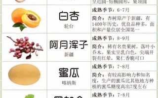 新疆北疆六月水果多吗？