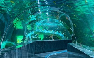 福建哪里有海底世界？