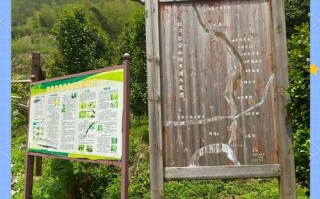 梅岭风景区怎么玩最尽兴？