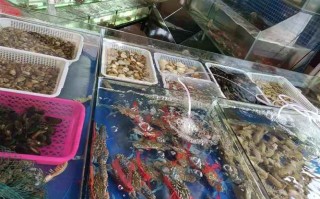 福建龙岩海鲜批发市场有何特色？