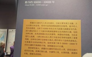 参观新疆博物馆的感想