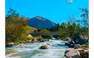 新疆北部旅游景点有何独特见闻？