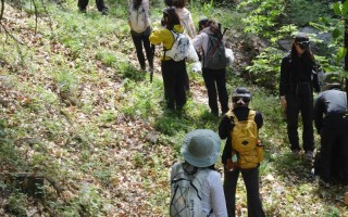 福建原始森林野外生存如何挑战极限？