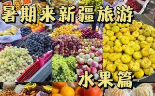 新疆水果批发市场哪里好？