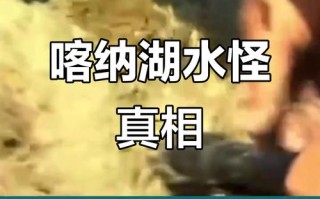 新疆哪个湖藏着神秘水怪？