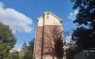 江西南昌正荣大湖之都怎么样？