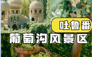 吐鲁番葡萄沟有何独特魅力与故事？