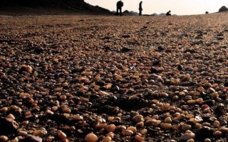 新疆玛瑙滩究竟位于何处？