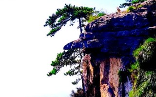 庐山有哪些必打卡的景点？