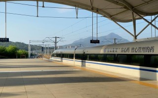 温州南到厦门动车票价多少？