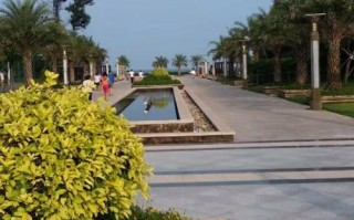 福建东山旗滨领海国际有何特色？