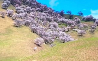 4月新疆旅游适宜吗？气候与景点如何？