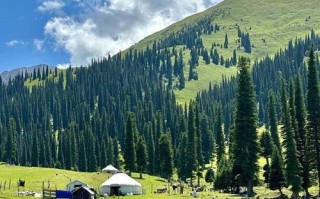 新疆伊犁有哪些必打卡的景点？