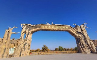 新疆巴州库尔勒轮台县有何特色？