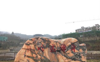 普安县江西坡生态小镇有何特色？