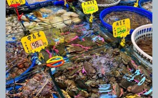 厦门水产批发市场行情如何？