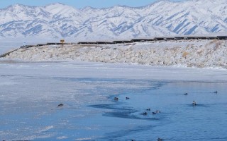 新疆冬季赛里木湖旅游有何魅力？