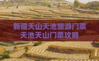 2025新疆天池门票价格是多少？