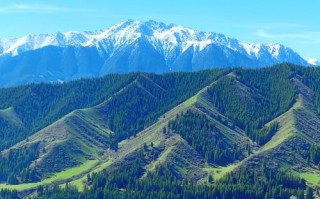 新疆南山风景区图片美在哪里？