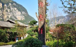 酉阳到福建汽车时刻表几点发车？