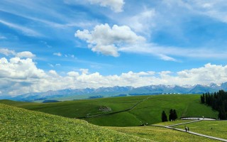 新疆风景图片大全有哪些绝美景色？