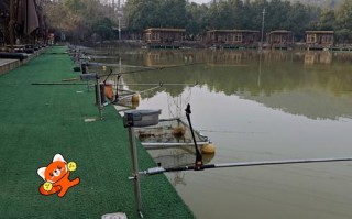 福建龙岩休闲钓鱼农场有何特色？