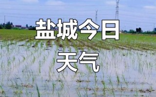 江西盐城一周天气怎么样？