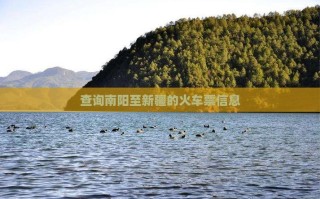 南阳到新疆火车票价多少？