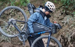 情侣骑行新疆为何会遭遇狼袭击？