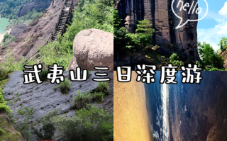 福建泉州到武夷山距离多少公里？