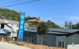 福建安溪甘泉茶厂有何特色？