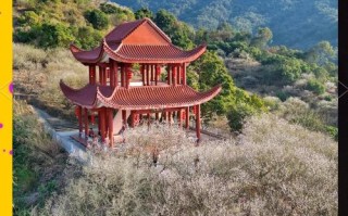 福建省诏安县旅游景点