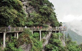 井冈山杜鹃山索道有何独特之处？