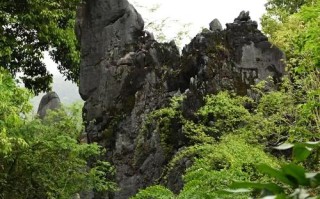 福建石林在永安有何独特魅力？