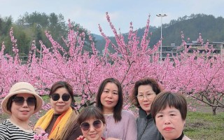 新疆桃花节2025何时启幕？花期与亮点抢先看！