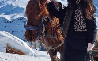 新疆阿勒泰美女资源是否丰富？