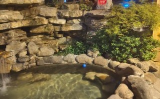 江西四季明月温泉酒店有何特色？