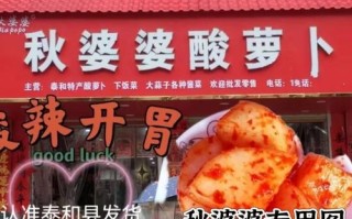 江西吉安泰和特产小吃有哪些特色？