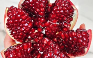 新疆特产水果有哪些？