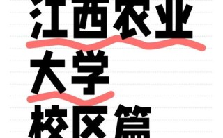 江西农业大学具体属于哪个区？