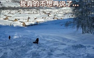 新疆跟团旅游为何后悔？