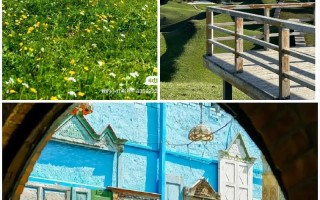 上海去新疆自由行怎么规划？