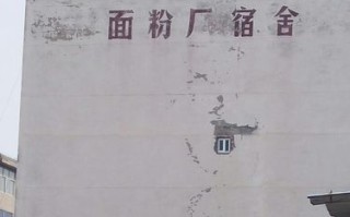 福建龙岩小洋面粉厂有何发展故事？