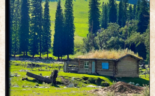七月新疆旅游，究竟好不好？