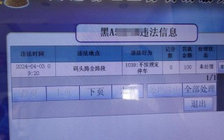 江西省车辆违章查询网怎么用？