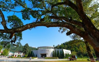 江西省吉安市永新县邮编是多少？