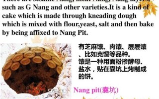 新疆特色美食英文介绍有哪些？