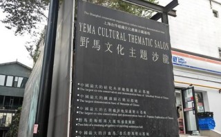 新疆乌鲁木齐野马国际有什么特色？