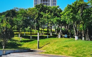 厦门翔安有哪些必打卡旅游景点？