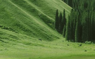 八月去新疆要注意啥？